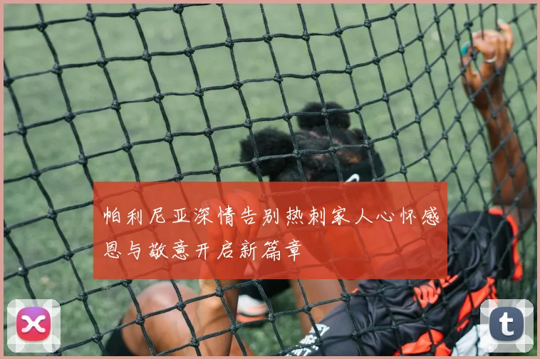 帕利尼亚深情告别热刺家人心怀感恩与敬意开启新篇章